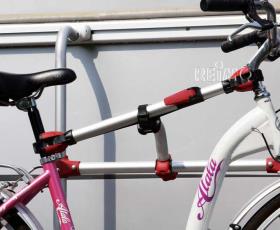 Bike Frame Adapter for Back