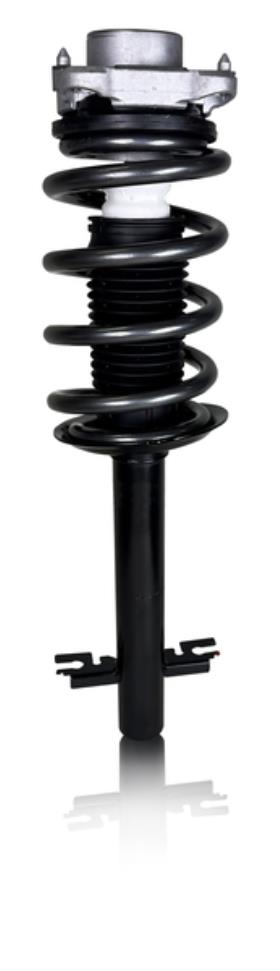 Linnepe ProShock Duc.Ligh