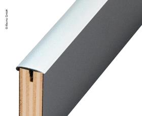 T-edge band with nose, colour: silver