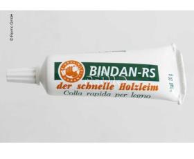 Wood glue Bindan-RS 20g