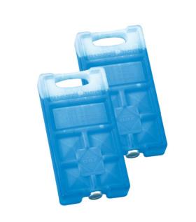 2 Ice Packs