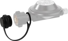 Screw plug for pressure regulator for inlet W21