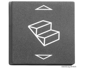 Surface rocker f.Trittst.SB