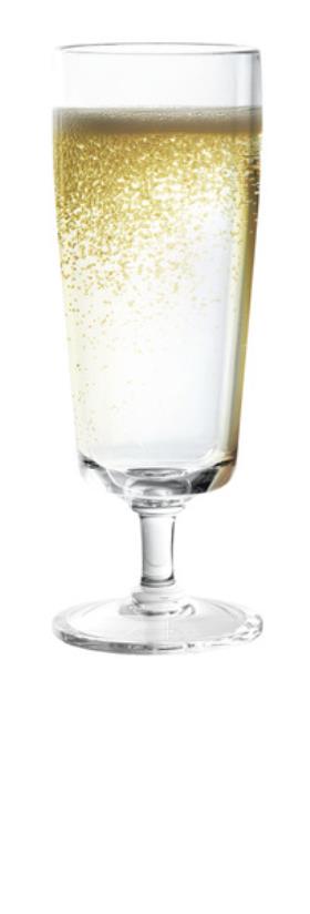 Plastic champagne glass of SAN, set of 2, 200 ml volume