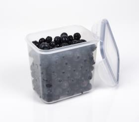 Storage can and food can 0,85l, transparent