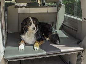 Hundemadras - bageste støtte til VW T5 / T6 Californien