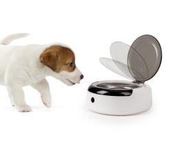Hundenapf mit Sensor