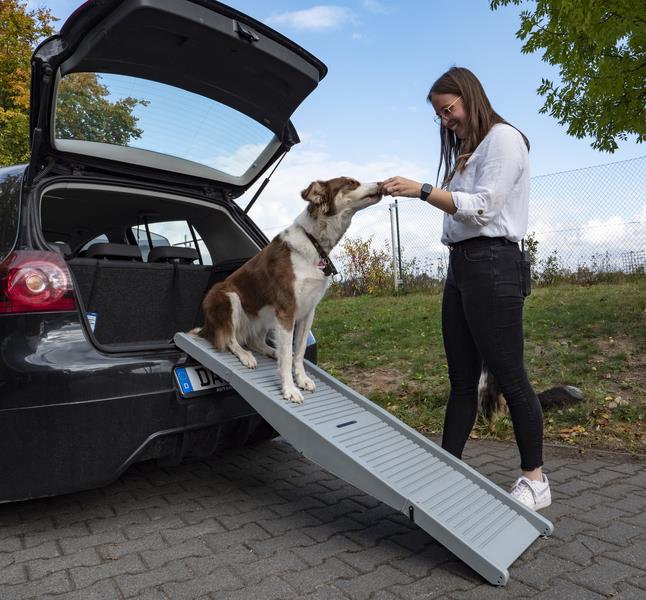 Plastikrampe til hunden Emma